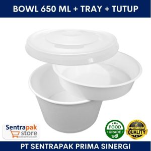 bowl 650ml + tray + tutup